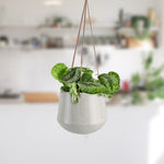 Hanging Ceramic Pot