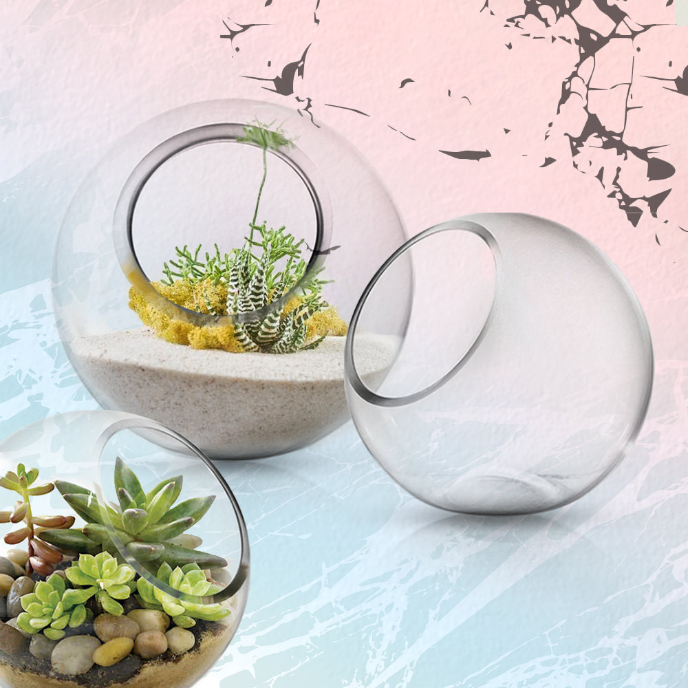 Glass Terrarium | Galore Home: Luxury Home Decor, Elegant Home Furnishings, Stylish Home Accents & Contemporary Home Accessories