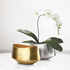 Ellipse Vase | Galore Home: Luxury Home Decor, Elegant Home Furnishings, Stylish Home Accents & Contemporary Home Accessories