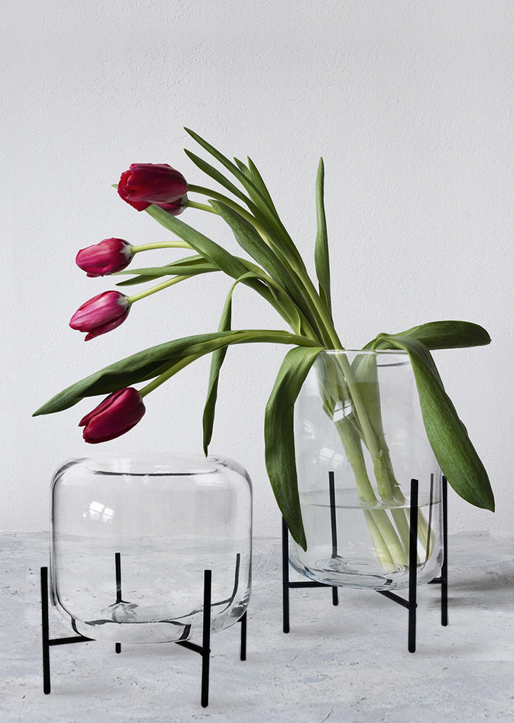 Mousseaux Glass Terrarium Vase