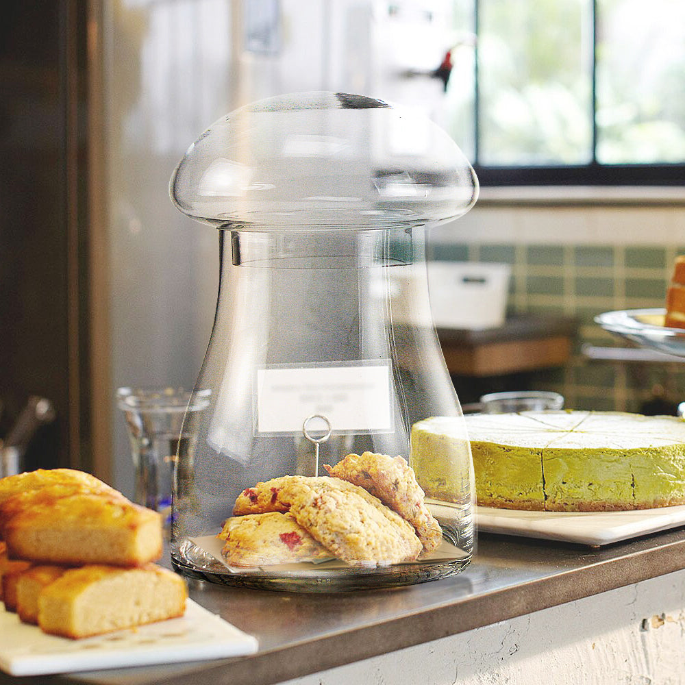 Mushroom Terrarium - Main Image