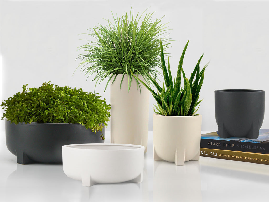 Tranquility Ceramic Pot & Planter | Galore Home: Luxury Home Decor, Elegant Home Furnishings, Stylish Home Accents & Contemporary Home Accessories