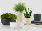 Tranquility Ceramic Pot & Planter | Galore Home: Luxury Home Decor, Elegant Home Furnishings, Stylish Home Accents & Contemporary Home Accessories