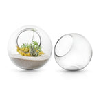 Glass Terrarium | Galore Home: Luxury Home Decor, Elegant Home Furnishings, Stylish Home Accents & Contemporary Home Accessories