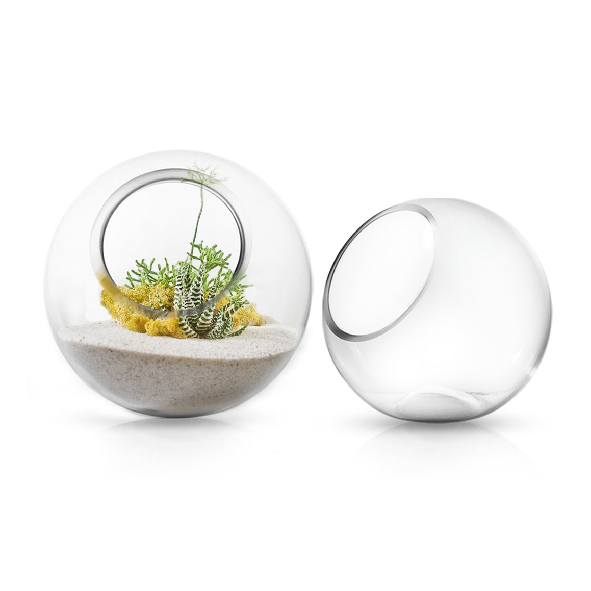 Glass Terrarium | Galore Home: Luxury Home Decor, Elegant Home Furnishings, Stylish Home Accents & Contemporary Home Accessories