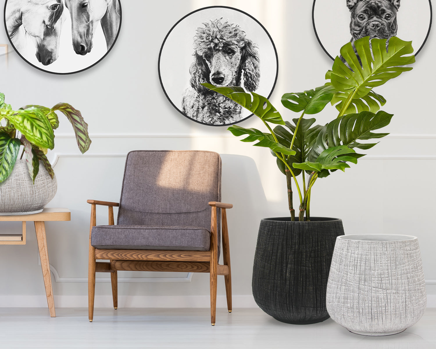 modern black indoor planter Floor Planters – Polyresin Planter, H-5.25" D-11.5", Indoor Planting