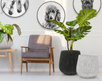Modern Indoor/Outdoor Planter | Galore Home: Luxury Home Decor, Elegant Home Furnishings, Stylish Home Accents & Contemporary Home Accessories