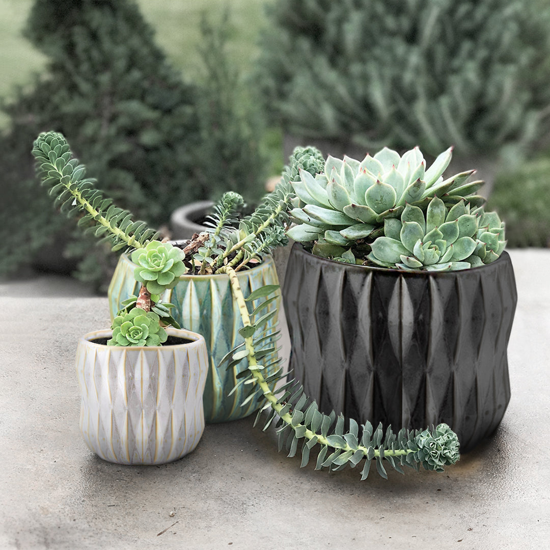 designer ceramic pots for plants Ribbed Ceramic Pot