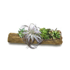 Driftwood Planter | Galore Home: Luxury Home Decor, Elegant Home Furnishings, Stylish Home Accents & Contemporary Home Accessories
