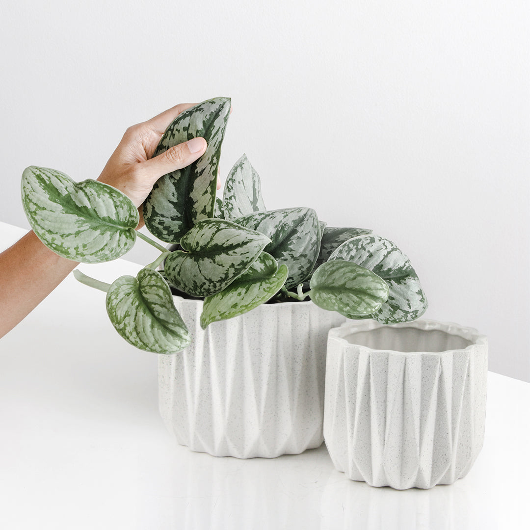 Geometric Ceramic Pot | Galore Home: Luxury Home Decor, Elegant Home Furnishings, Stylish Home Accents & Contemporary Home Accessories