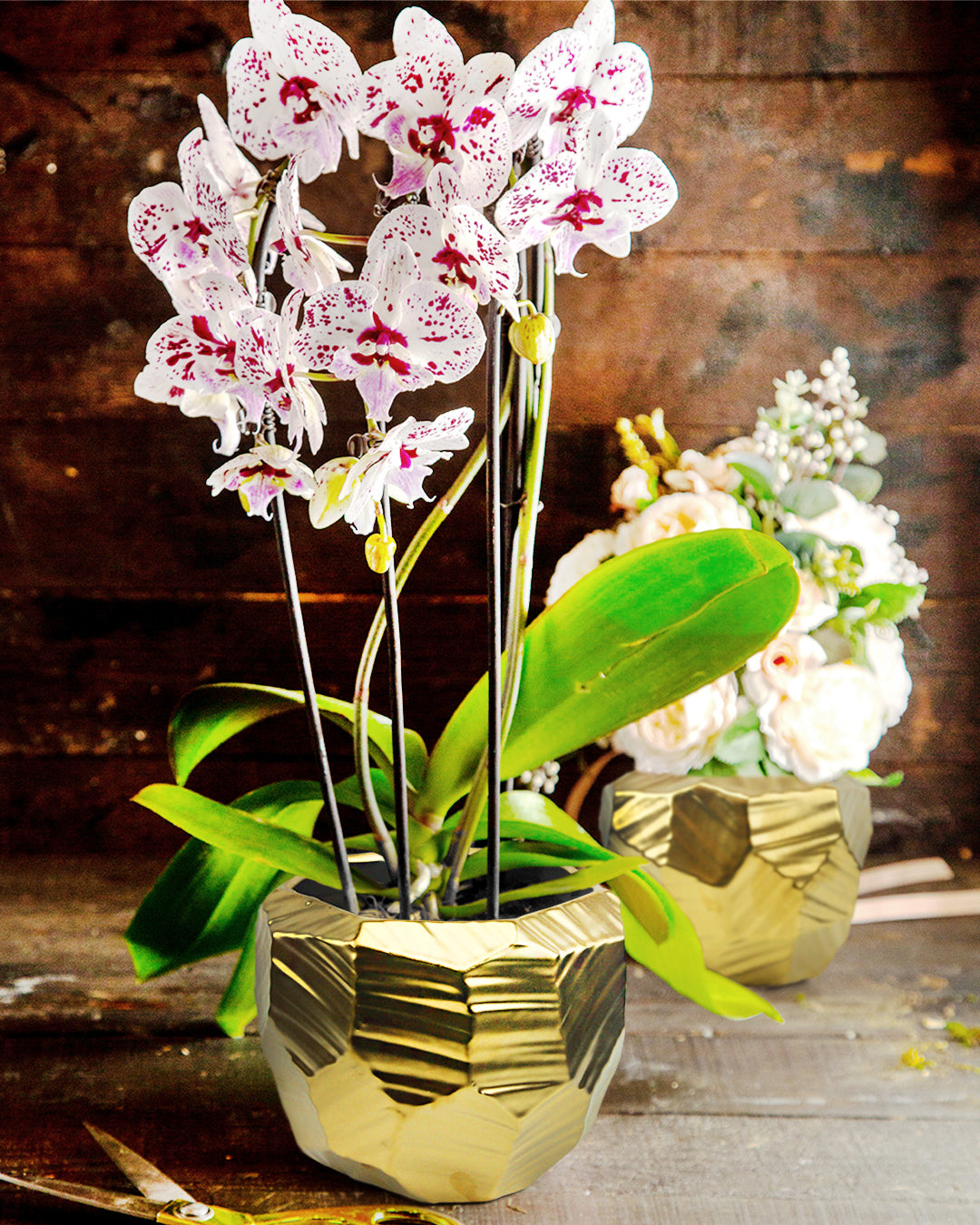 Gloss Indoor Ceramic Pot | Galore Home: Luxury Home Decor, Elegant Home Furnishings, Stylish Home Accents & Contemporary Home Accessories