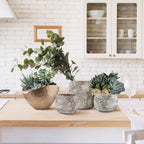 Fossil Ceramic Pot | Galore Home: Luxury Home Decor, Elegant Home Furnishings, Stylish Home Accents & Contemporary Home Accessories