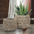 Lotus Ceramic Planter | Galore Home: Luxury Home Decor, Elegant Home Furnishings, Stylish Home Accents & Contemporary Home Accessories