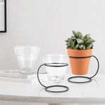Tabletop Planter | Galore Home: Luxury Home Decor, Elegant Home Furnishings, Stylish Home Accents & Contemporary Home Accessories