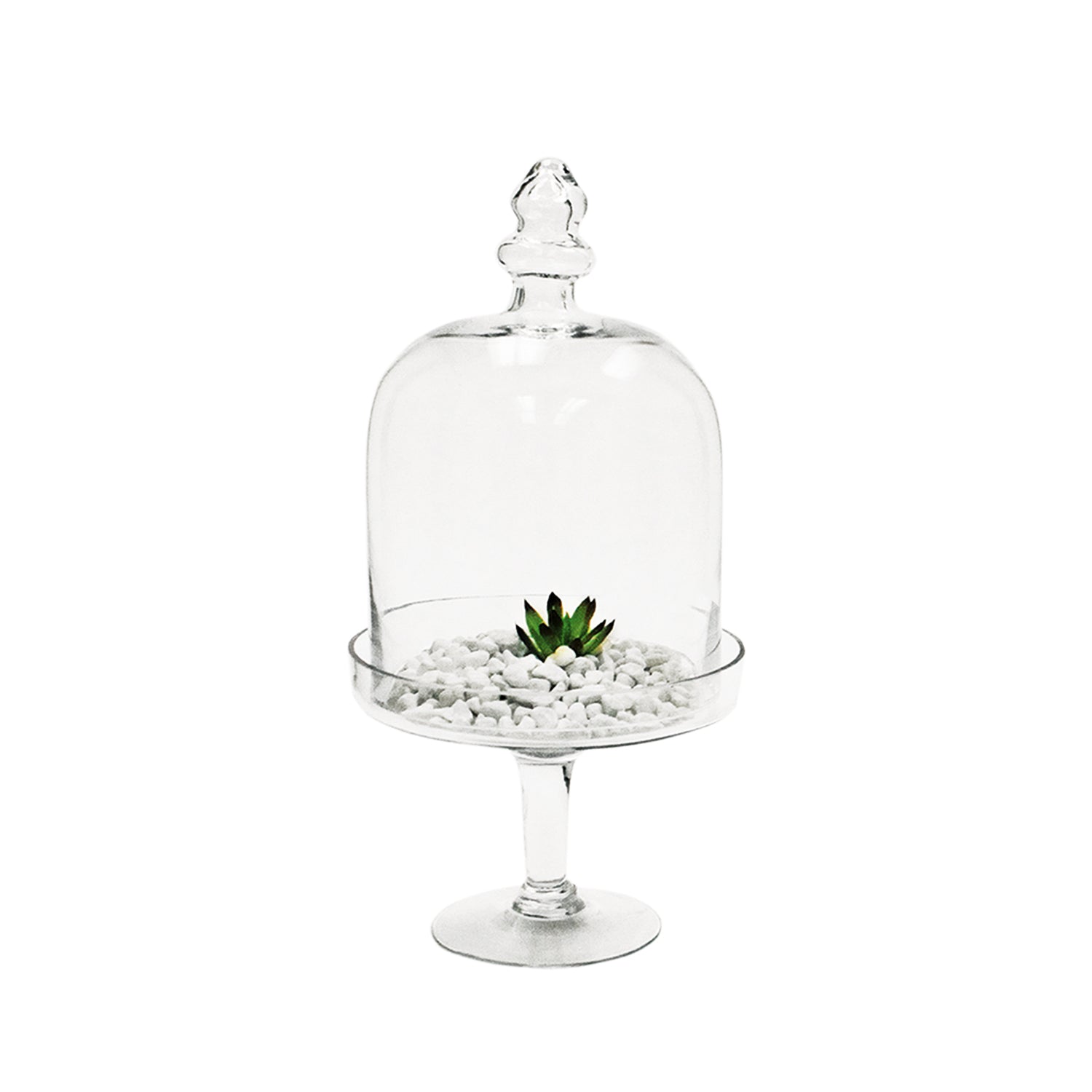 Cloche | Galore Home: Luxury Home Decor, Elegant Home Furnishings, Stylish Home Accents & Contemporary Home Accessories