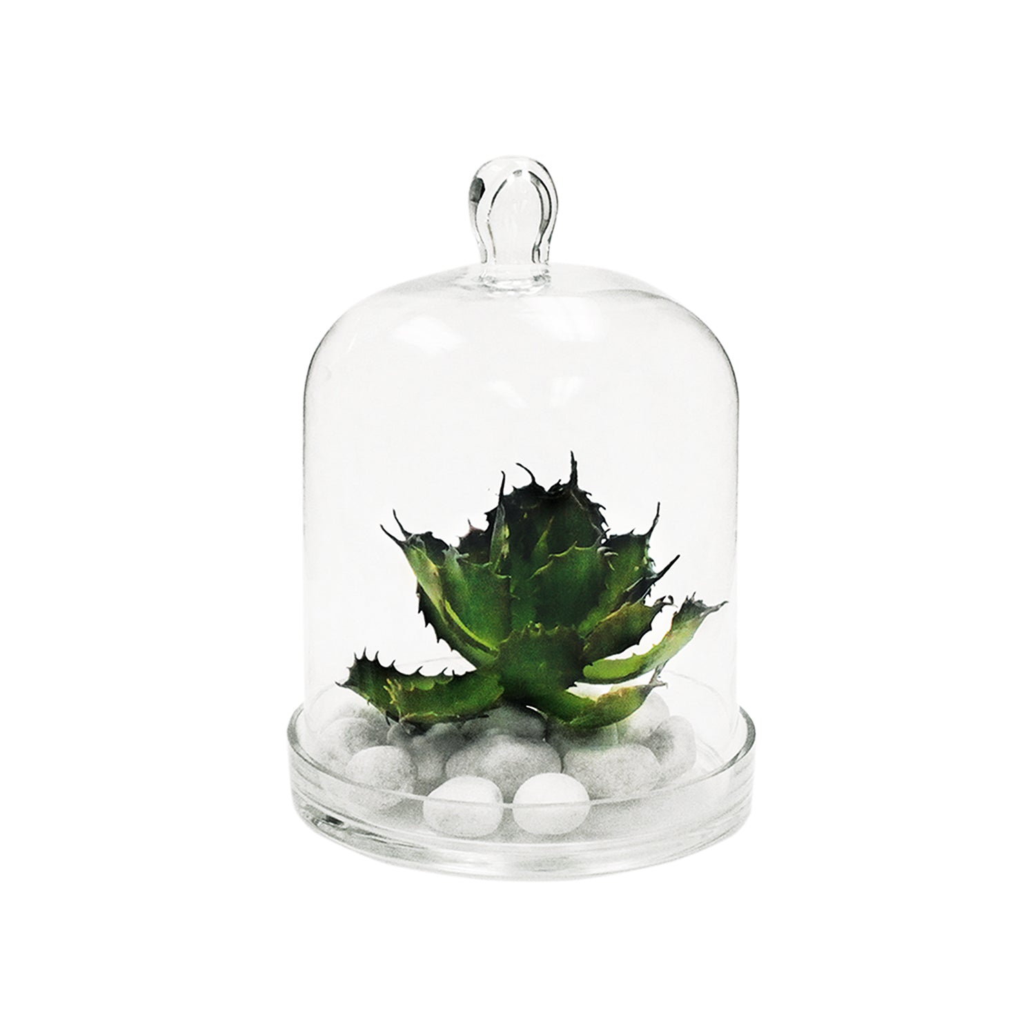 Cloche | Galore Home: Luxury Home Decor, Elegant Home Furnishings, Stylish Home Accents & Contemporary Home Accessories