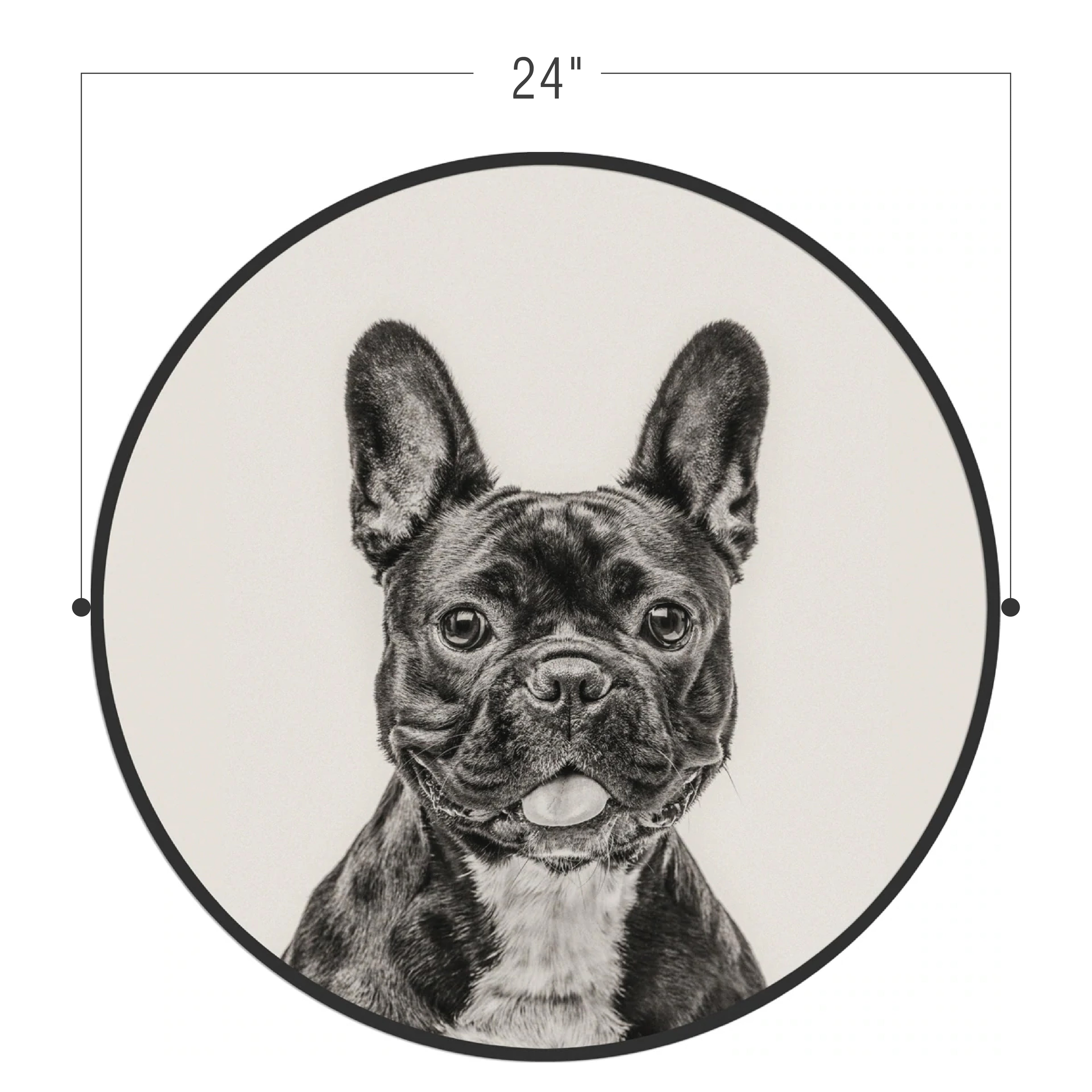 Circular (Round) Wall Art / Wall Decor - French Bulldog | Galore Home: Luxury Home Decor, Elegant Home Furnishings, Stylish Home Accents & Contemporary Home Accessories