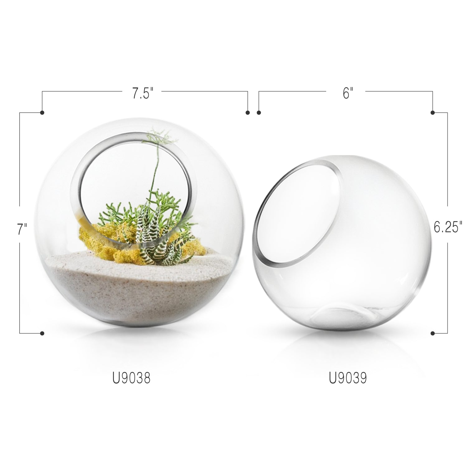Glass Terrarium | Galore Home: Luxury Home Decor, Elegant Home Furnishings, Stylish Home Accents & Contemporary Home Accessories