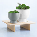 Mid Century Short Ceramic Pot | Galore Home: Luxury Home Decor, Elegant Home Furnishings, Stylish Home Accents & Contemporary Home Accessories