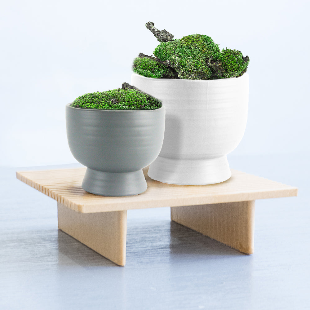 Mid Century Short Ceramic Pot | Galore Home: Luxury Home Decor, Elegant Home Furnishings, Stylish Home Accents & Contemporary Home Accessories