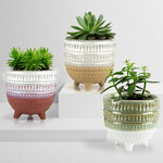 Bohemian Ceramic Pot & Planter