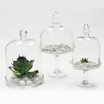 Cloche | Galore Home: Luxury Home Decor, Elegant Home Furnishings, Stylish Home Accents & Contemporary Home Accessories