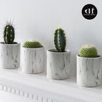 Round Indoor Ceramic Marble Pot | Galore Home: Luxury Home Decor, Elegant Home Furnishings, Stylish Home Accents & Contemporary Home Accessories